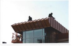 Suspendisse arcu nisl